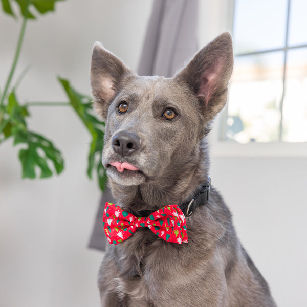 Christmas Trees Bow Tie