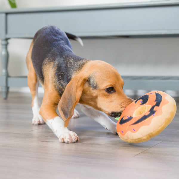 Pumpkin Donut Dog Toy