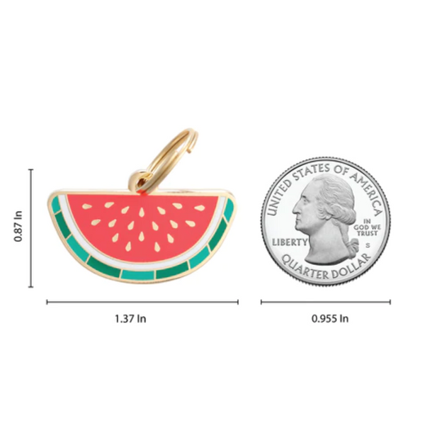 Watermelon Pet ID Tag