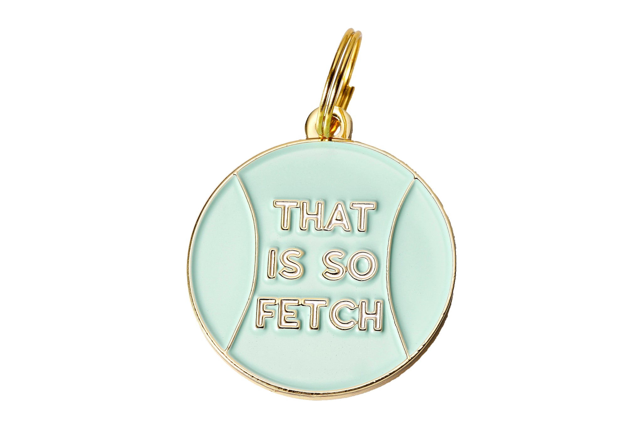 'That is So Fetch' Pet ID Tag