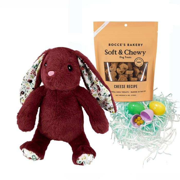 'Some Bunny Loves You' Doggie Easter Basket - Burgundy Bunny