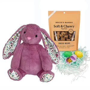 'Some Bunny Loves You' Doggie Easter Basket - Purple Bunny