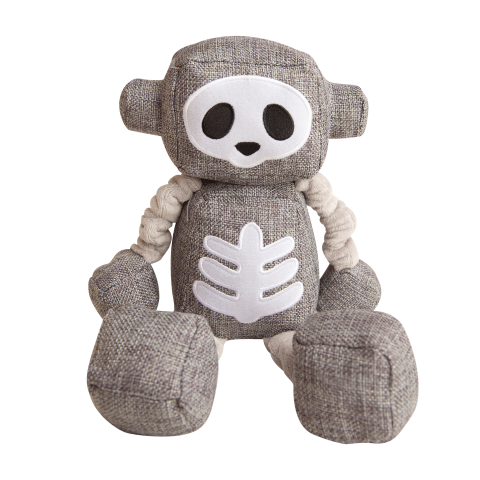 Skel-o-Bot Toy
